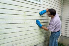 Affordable Siding Repair and Maintenance Services in Woodbury, TN